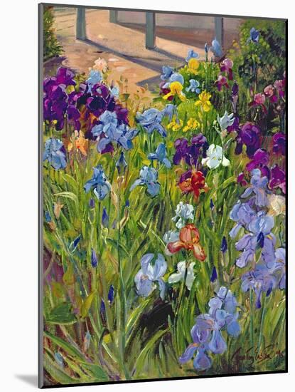 Irises and Summer House Shadows, 1996-Timothy Easton-Mounted Giclee Print