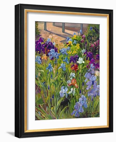 Irises and Summer House Shadows, 1996-Timothy Easton-Framed Giclee Print