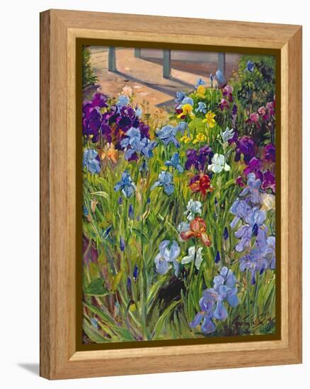 Irises and Summer House Shadows, 1996-Timothy Easton-Framed Premier Image Canvas