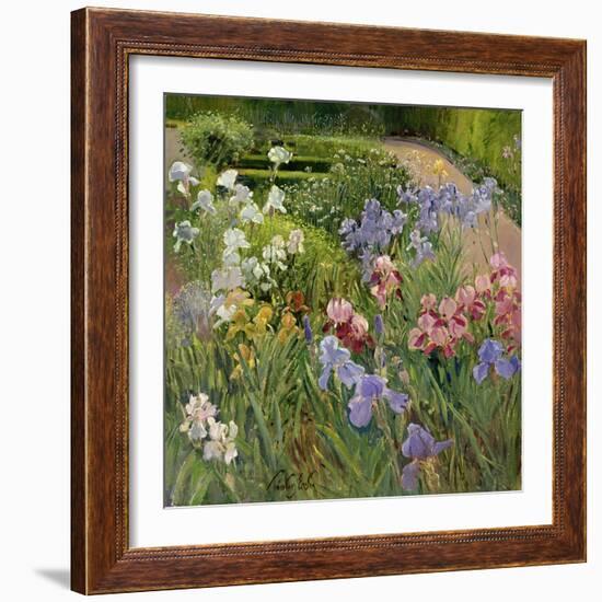 Irises at Bedfield-Timothy Easton-Framed Giclee Print