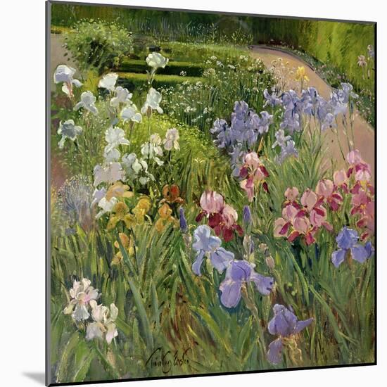 Irises at Bedfield-Timothy Easton-Mounted Giclee Print