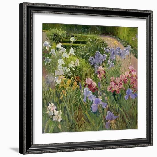 Irises at Bedfield-Timothy Easton-Framed Giclee Print