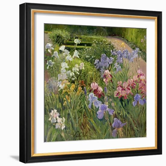 Irises at Bedfield-Timothy Easton-Framed Giclee Print