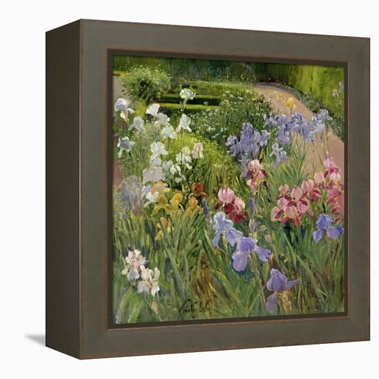 Irises at Bedfield-Timothy Easton-Framed Premier Image Canvas