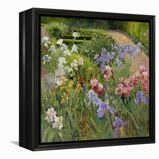 Irises at Bedfield-Timothy Easton-Framed Premier Image Canvas