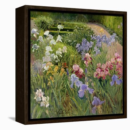 Irises at Bedfield-Timothy Easton-Framed Premier Image Canvas