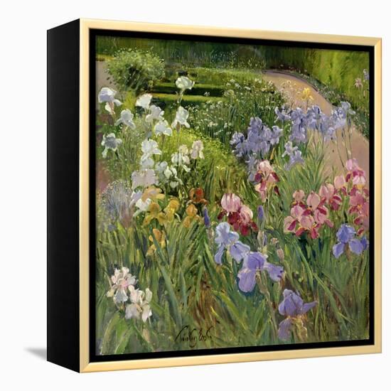 Irises at Bedfield-Timothy Easton-Framed Premier Image Canvas