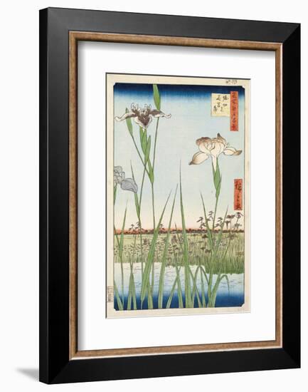 Irises at Horikiri, 1857-Ando Hiroshige-Framed Art Print