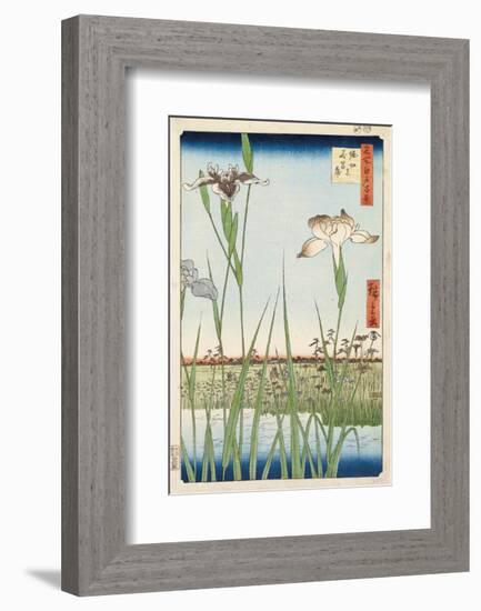 Irises at Horikiri, 1857-Ando Hiroshige-Framed Art Print