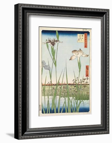 Irises at Horikiri, 1857-Ando Hiroshige-Framed Art Print