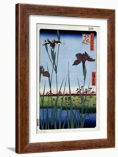 Irises at Horikiri (One Hundred Famous Views of Ed), 1856-1858-Utagawa Hiroshige-Framed Giclee Print