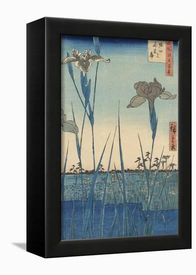 Irises at Horikiri-Ando Hiroshige-Framed Art Print