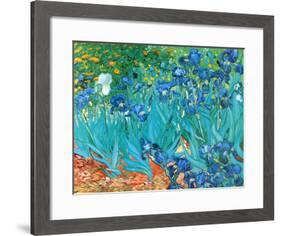 Irises, c.1889-Vincent van Gogh-Framed Art Print