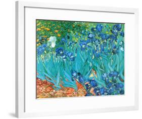 Irises, c.1889-Vincent van Gogh-Framed Art Print