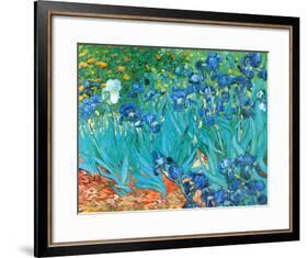 Irises, c.1889-Vincent van Gogh-Framed Art Print