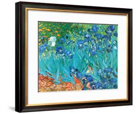 Irises, c.1889-Vincent van Gogh-Framed Art Print