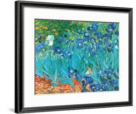 Irises, c.1889-Vincent van Gogh-Framed Art Print