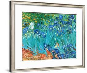 Irises, c.1889-Vincent van Gogh-Framed Art Print