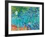 Irises, c.1889-Vincent van Gogh-Framed Art Print