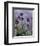 Irises (detail)-Claude Monet-Framed Art Print