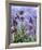 Irises (detail)-Claude Monet-Framed Art Print