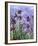 Irises (detail)-Claude Monet-Framed Art Print