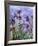 Irises (detail)-Claude Monet-Framed Art Print