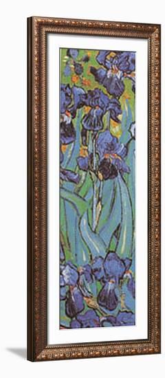 Irises Detail-Vincent van Gogh-Framed Art Print