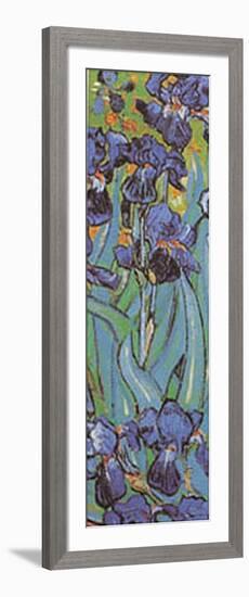 Irises Detail-Vincent van Gogh-Framed Art Print