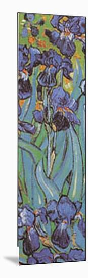 Irises Detail-Vincent van Gogh-Mounted Art Print