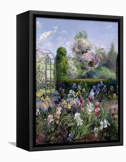Irises in the Formal Gardens, 1993-Timothy Easton-Framed Premier Image Canvas