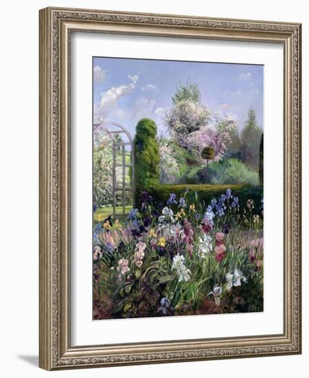 Irises in the Formal Gardens, 1993-Timothy Easton-Framed Giclee Print