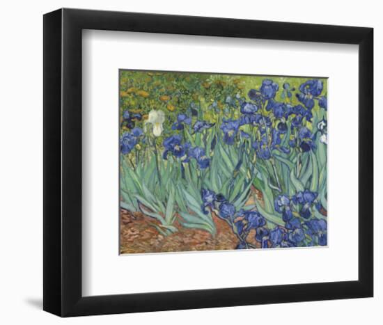 Irises in the Garden-Vincent van Gogh-Framed Art Print