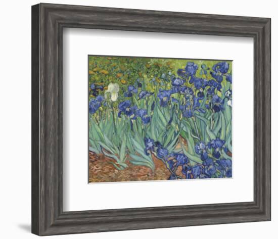 Irises in the Garden-Vincent van Gogh-Framed Art Print