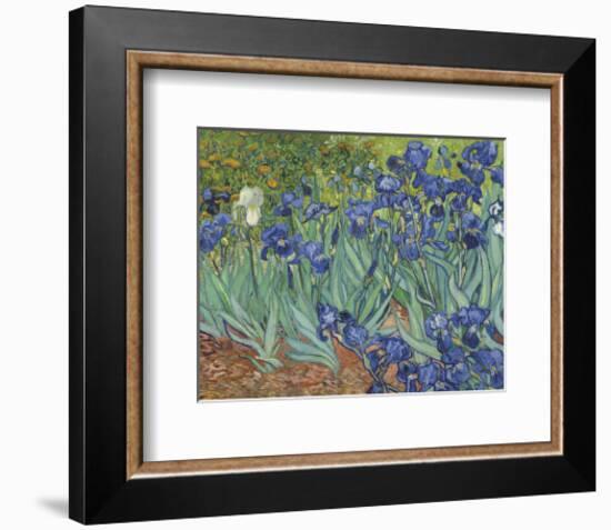 Irises in the Garden-Vincent van Gogh-Framed Art Print