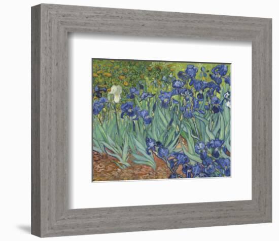 Irises in the Garden-Vincent van Gogh-Framed Art Print