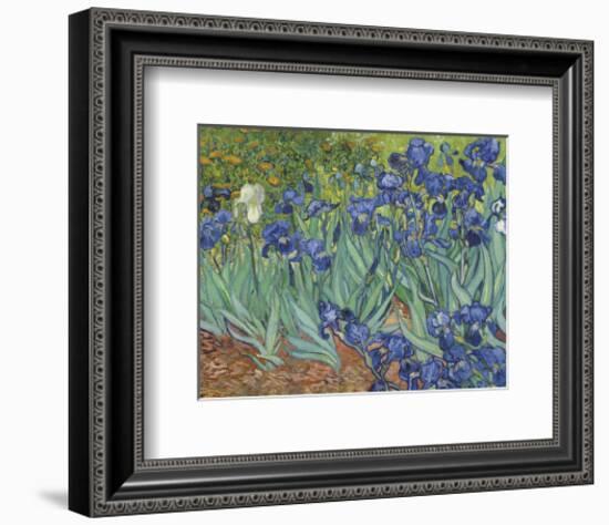 Irises in the Garden-Vincent van Gogh-Framed Art Print