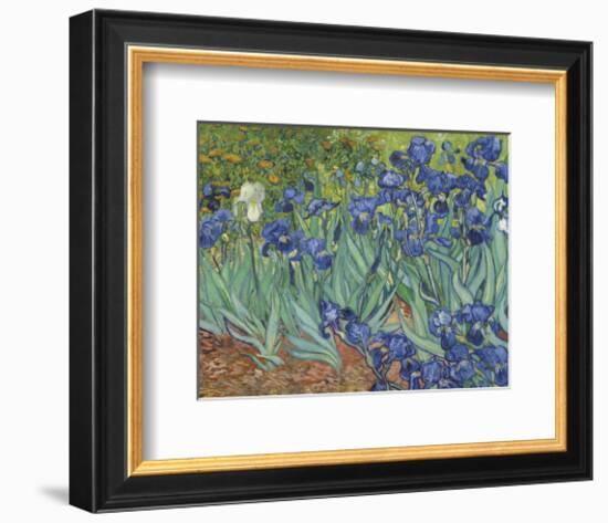 Irises in the Garden-Vincent van Gogh-Framed Art Print