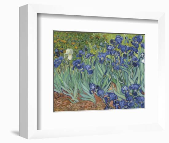 Irises in the Garden-Vincent van Gogh-Framed Art Print