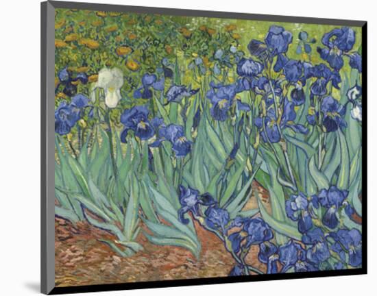 Irises in the Garden-Vincent van Gogh-Mounted Art Print