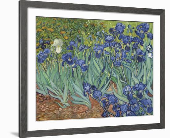 Irises in the Garden-Vincent van Gogh-Framed Art Print