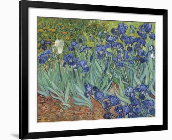 Irises in the Garden-Vincent van Gogh-Framed Art Print