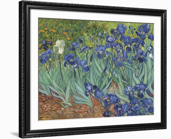 Irises in the Garden-Vincent van Gogh-Framed Art Print