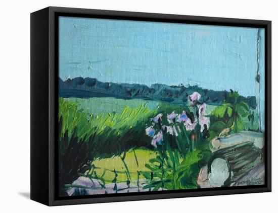 Irises in the Garden-Brenda Brin Booker-Framed Premier Image Canvas