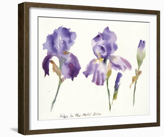 Irises in the Hotel Dieu-Hazel Soan-Framed Giclee Print