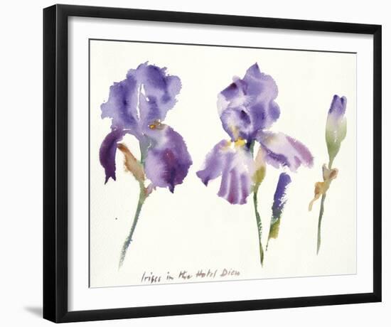 Irises in the Hotel Dieu-Hazel Soan-Framed Giclee Print