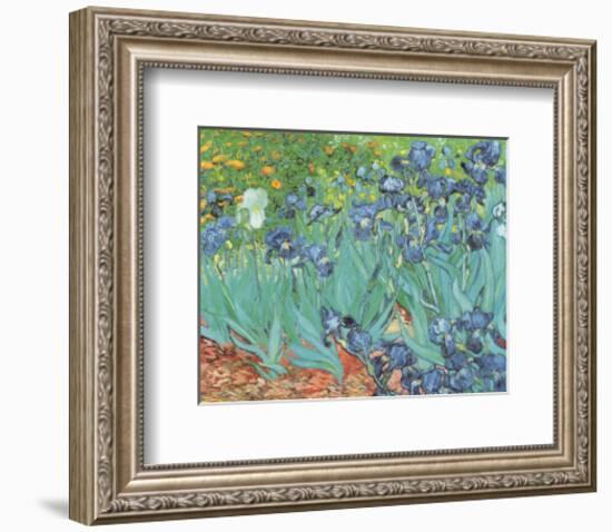 Irises, Saint-Remy, c.1889-Vincent van Gogh-Framed Art Print