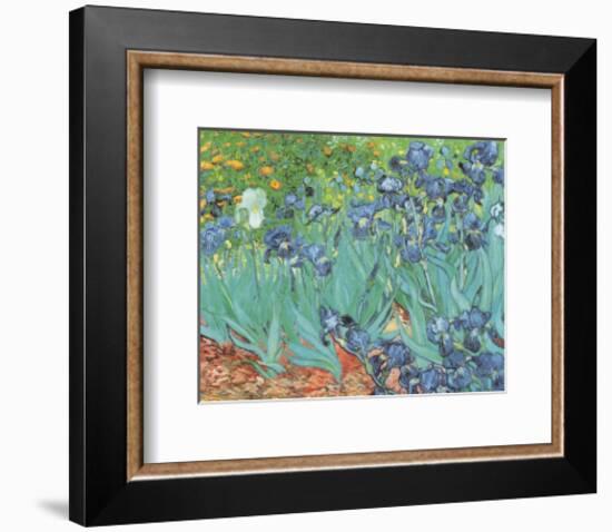 Irises, Saint-Remy, c.1889-Vincent van Gogh-Framed Art Print