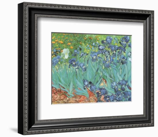 Irises, Saint-Remy, c.1889-Vincent van Gogh-Framed Art Print