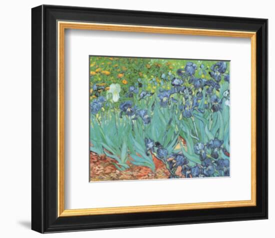 Irises, Saint-Remy, c.1889-Vincent van Gogh-Framed Art Print